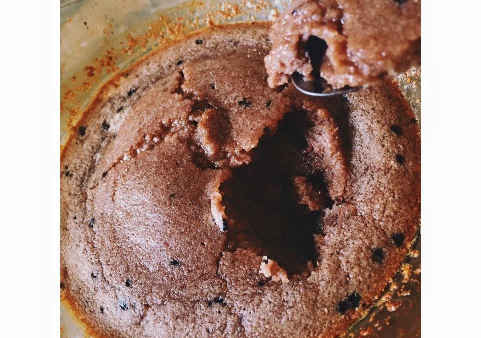 Vitafiber PB Brownie
