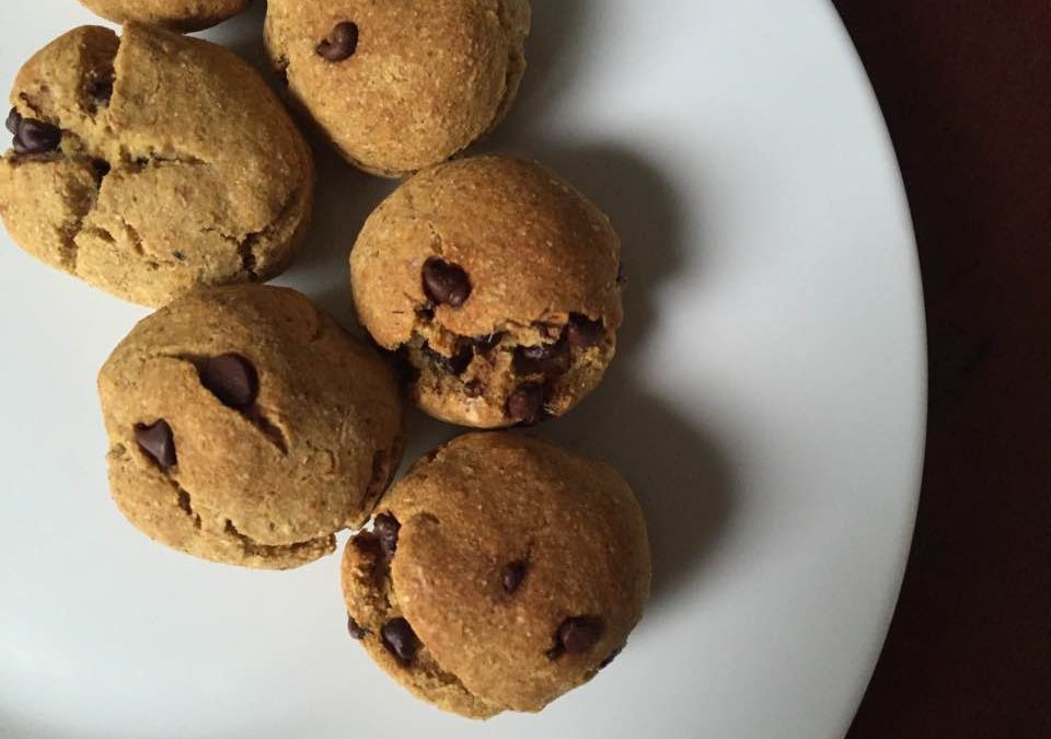Pangoccioli vegani