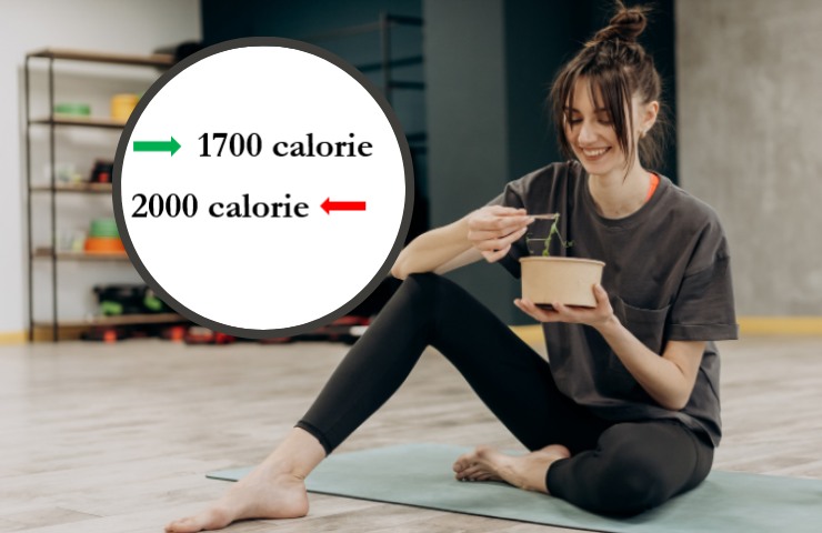 calorie
